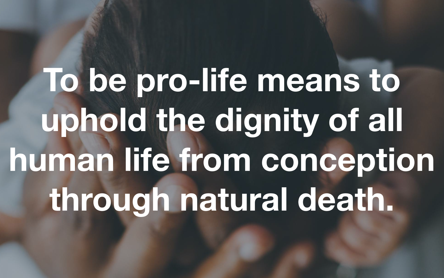 Pro-Catholic, Pro-Life, Pro-America - The Catholic Woodworker