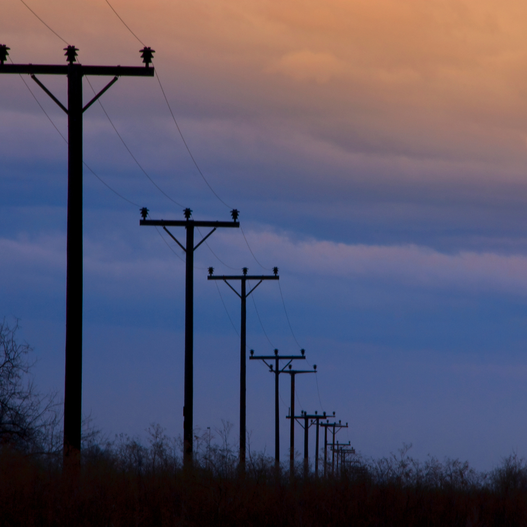 Roses and Telephone Poles: How I Learned to Embrace Small Wins in Praying the Rosary